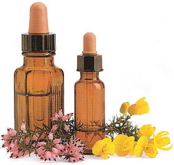 Bach Flower Essence - Rescue Remedy